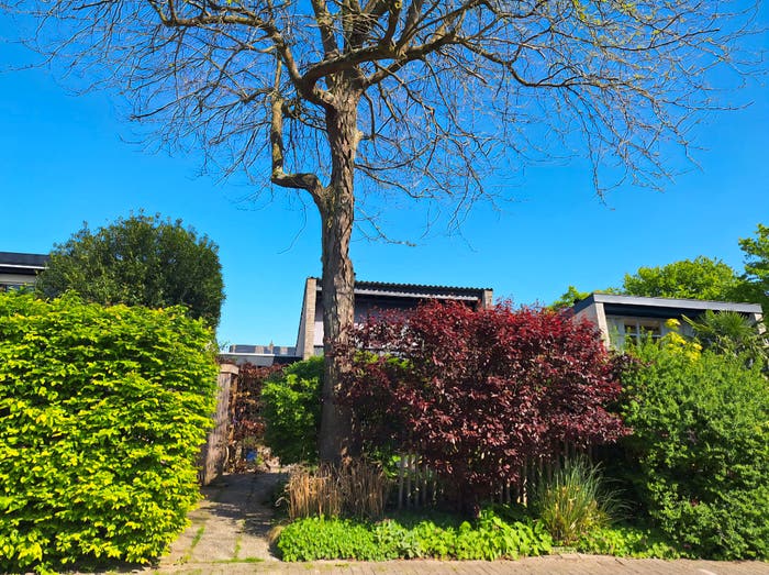 4-kamerhuis te koop in Vogelbuurt (Leerdam), Leerdam