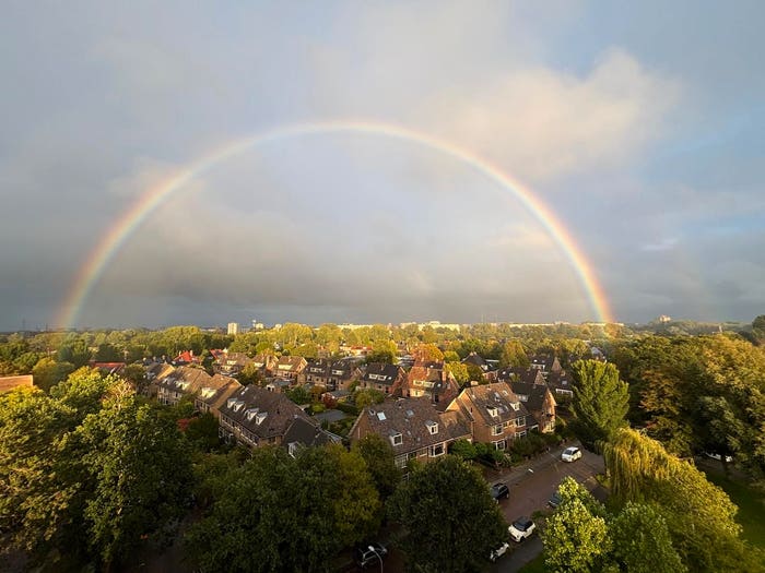 2-kamerappartement te koop in Haarlem – Prins Mauritslaan, Zuiderhout