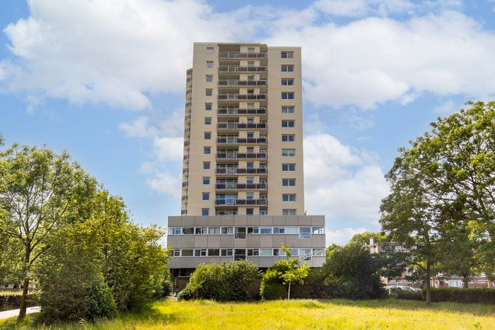 4-kamerappartement te koop in Haarlem – Professor Van der Scheerstraat, Professorenbuurt