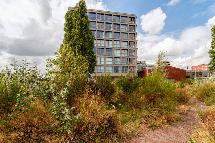 4-kamerappartement te koop in Amsterdam – Fonteinkruidstraat, Buiksloterham-Noord